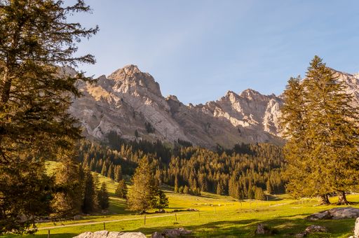 A beautiful mountainous landscape with greenery and mountains in the Swiss Alps