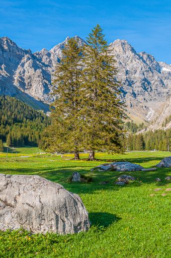 A beautiful mountainous landscape with greenery and mountains in the Swiss Alps