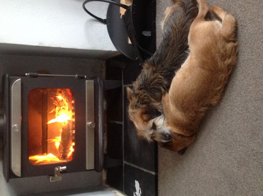 A vertical shot of two dogs hugging each other while trying to warm themselves near the fireplace