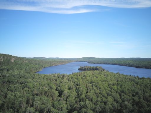 An aerial view of forest surrounded by dense trees