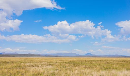 A rural grassland farming area of the Karoo Semi-desert in South Africa