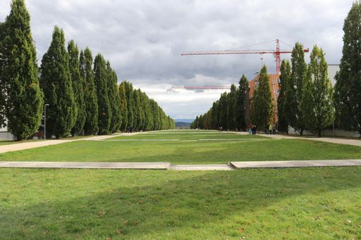 A landscape of a park covered in the lawn and trees under the sunlight and a cloudy sky