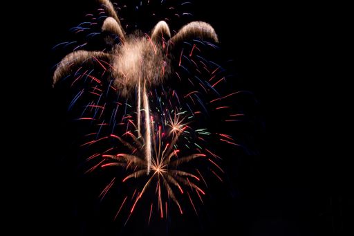 Bright flowers of festive fireworks on a dark background of the night sky