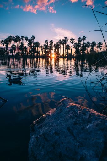 A vertical shot of a beautiful sunset over Papago Park in Phoenix, Arizona
