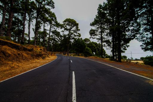 An empty asphalt road with autumnal field on both sides