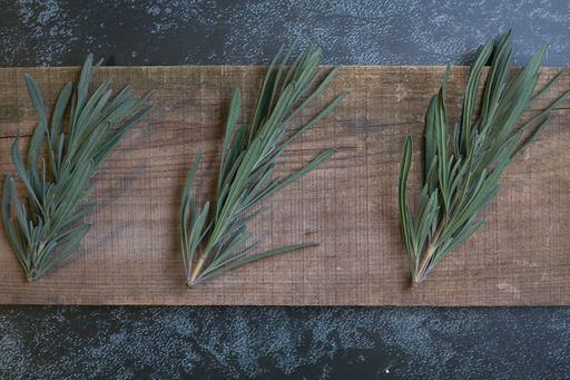A closeup shot of fresh rosemary on a wooden surface