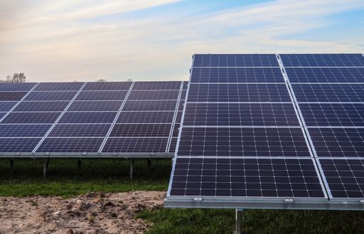 The solar panels in a field covered in greenery under the sunlight