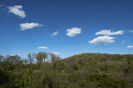 A beautiful shot of trees and landscapes in Middle Missouri under a cloudy sky