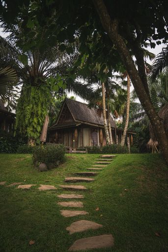 A vertical shot of a trail leading to a resort under palm trees in Bali, Indonesia