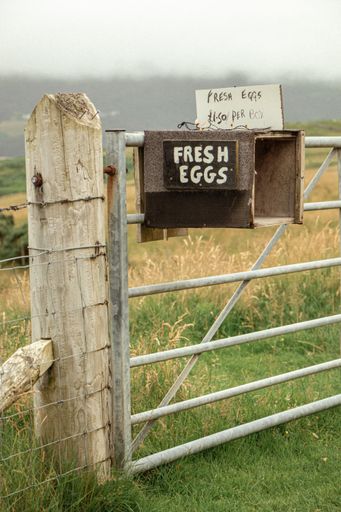 A vertical shot off fresh eggs for sale in countryside in Scotland