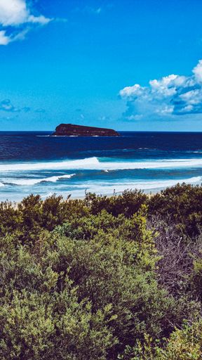 A vertical shot of a beautiful sandy beach under a blue cloudy sky on a sunny day