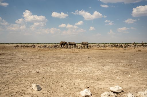 A watering hole in Etosha National Park in Namibia