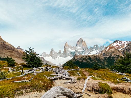 A View of Mount Fitz Roy from the trail, with summer vegetation. El Chalten, Argentina