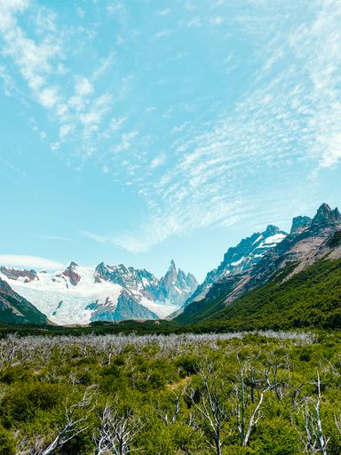 A beautiful View of Cerro Torre from the trail with summer vegetation, El Chalten, Argentina