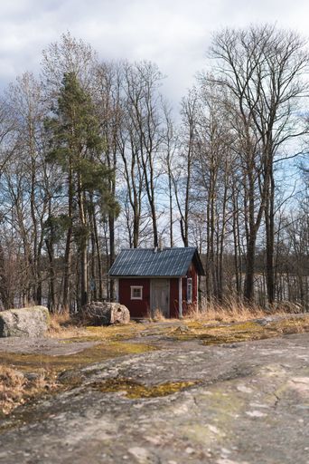 A red shack with bare trees in the background