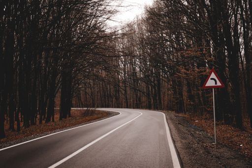 A bendy road going through a forest and a traffic sign on the side of the road