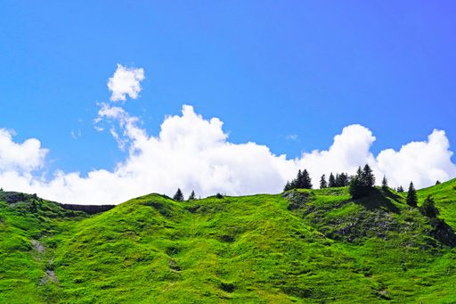 A view of the nature from Hahnenkamm in Tyrol, Austria