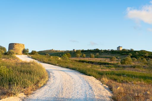A beautiful view of a road between fields under the clear sky