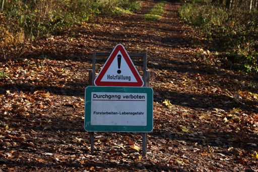 Two metal sings with "Logging. Acces denied. Forestry work - danger to life" writings