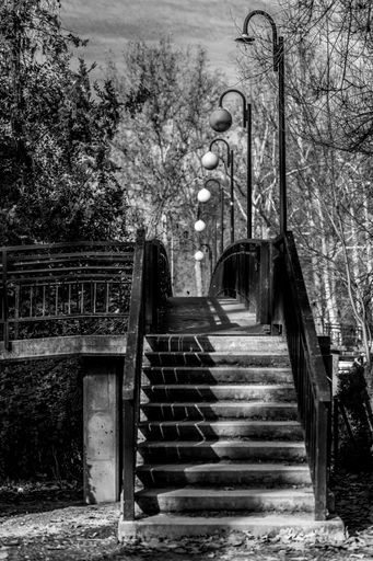 A grayscale shot of stairs with lamps