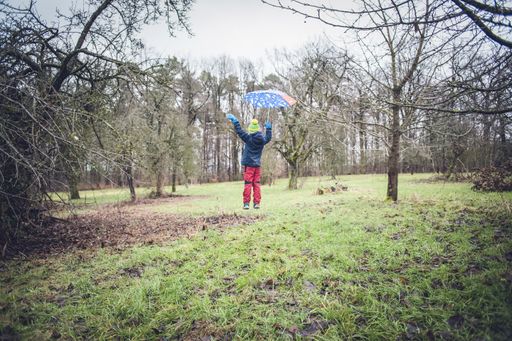 A wide shot of a child with an umbrella playing in the forest under the blue sky on a sunny day