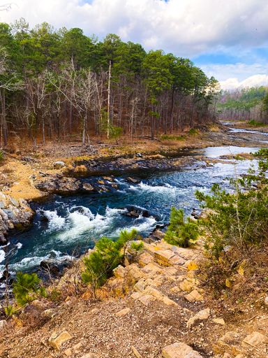 A vertical shot of a flowing river in the forest under a cloudy sky