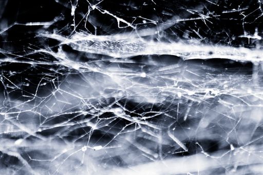 A macro shot of a spooky spider web