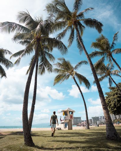 A vertical shot of a man walking on the palm tree-covered beach while enjoying the sunny day