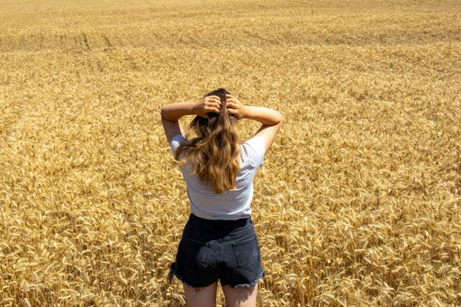 A back shot of a female pretty girl with a black short standing on a large wheat sunny field