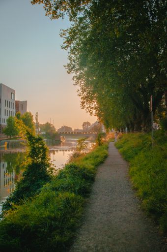 A vertical shot of a bridge over the river at daylight
