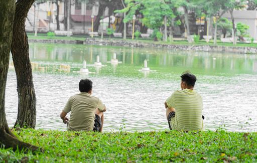 A back view of two male friends sitting and watching swans in a lake together