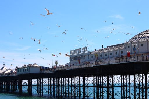 The seagulls flying over Brighton Palace Pier. United Kingdom