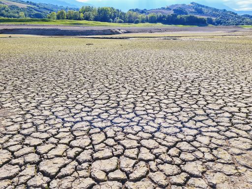 A dried lake with cracked brown soil with forest on the background