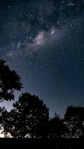 A closeup of a starry night sky