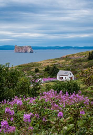 A vertical shot of the blooming Ile Bonaventure and Rocher Perce shore in Quebec, Canada