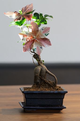 A vertical shot of a bonsai tree with paper flowers on a table