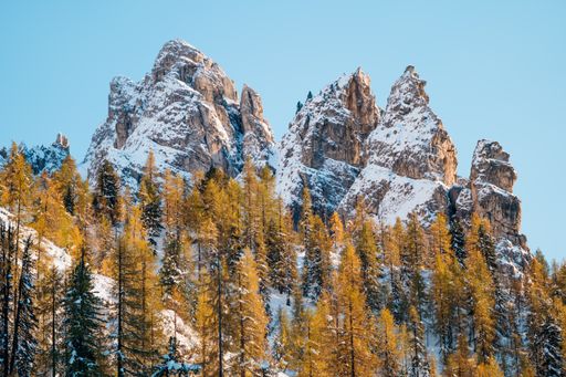 A beautiful shot of many trees in the background of a mountain covered in snow.