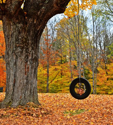 A vertical shot of the beautiful autumn landscape with a tire hanging from the tree.