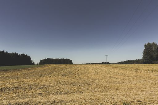 A beautiful horizontal shot of a dry grass field surrounded by green trees under the clear sky