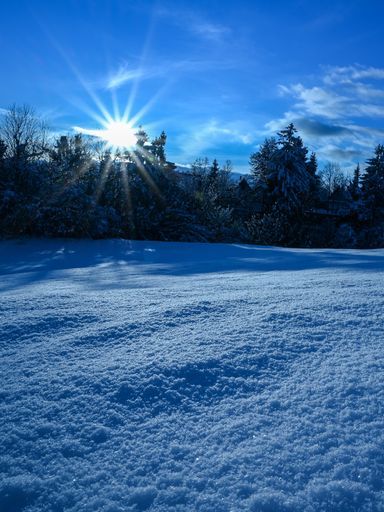 A beautiful shot of a sun shining on a snowy day