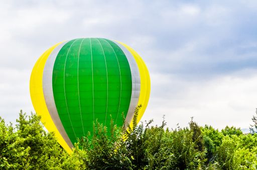 A hot air balloon against the tree branches and blue sky
