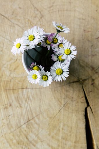 A high angle shot of beautiful daisy arrangement in a basket on a wooden surface