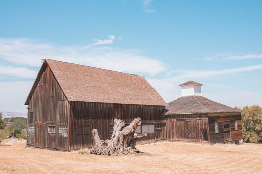 A closeup of old wooden barns surrounded by trees under the sunlight in the countryside