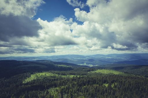 A beautiful aerial shot of green tree forest and the mountains under the cloudy sky
