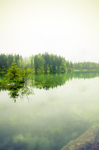 A beautiful vertical shot of a body of water surrounded by green trees under the clear sky