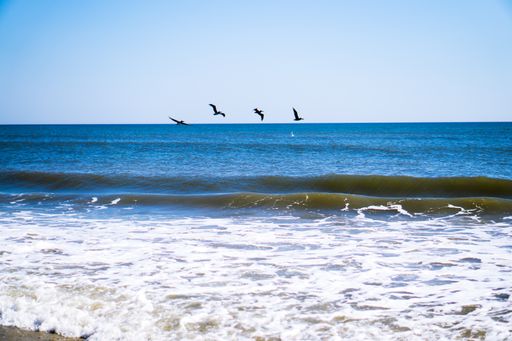 A serene view of seagulls flying over the blue ocean in daylight