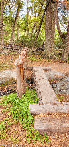 A vertical shot of a small wooden bridge in the forest