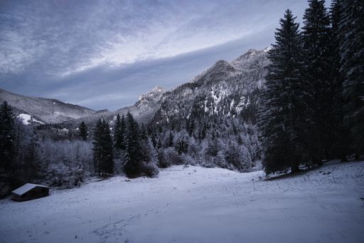 A view of a snowy meadow with trees covered with snow against mountains peaks and blue sky at sunrise