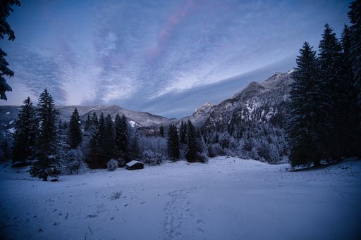 A view of a snowy meadow with trees covered with snow against mountains peaks and blue sky with clouds
