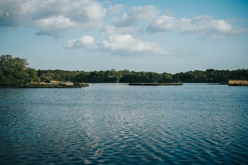 A beautiful landscape with water and dense forest against a blue sky with clouds on a sunny day